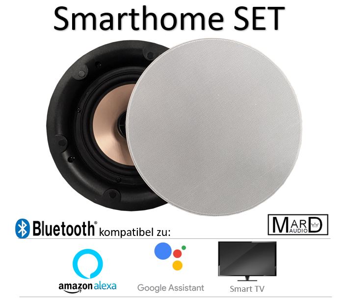 Smarthome Lautsprecher Set mit Bluetooth zum Einbau DAN-VAST-172set