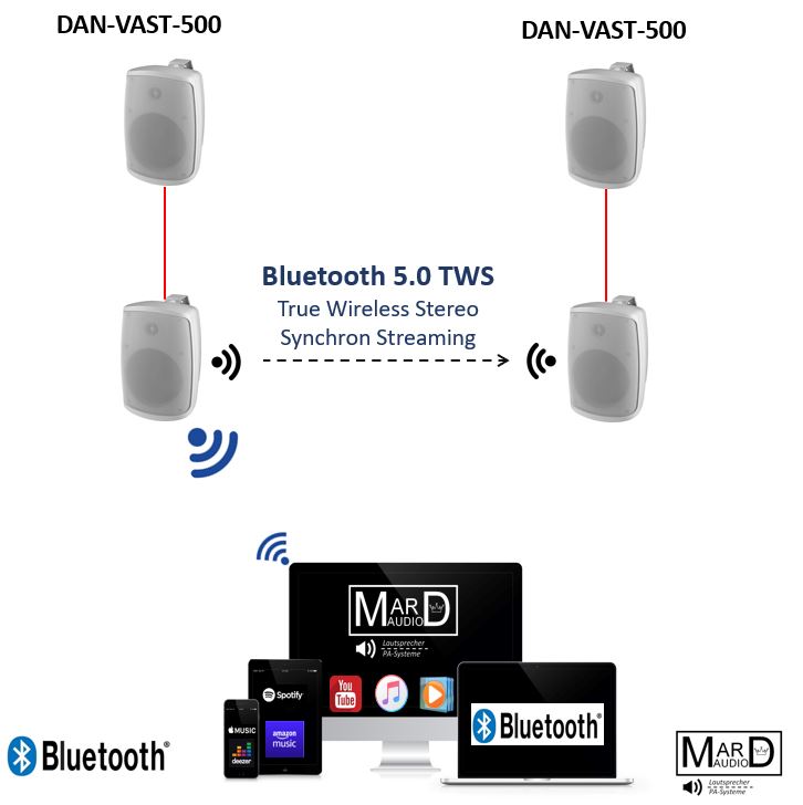 Funklautsprecher Boxen mit Bluetooth 5.0 und True Wireless Stereo Funktion
