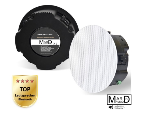 DAN-VAST-250 Bluetooth Deckenlautsprecher SET