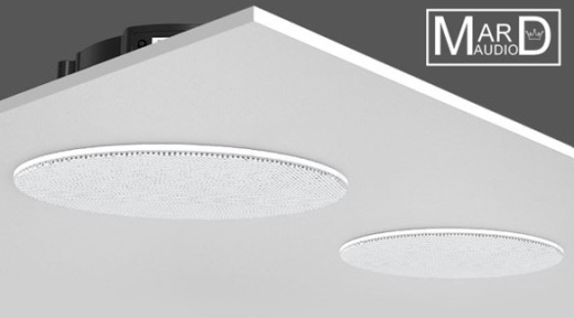 DAN-VAST-230 Bluetooth Deckenlautsprecher (einzeln)