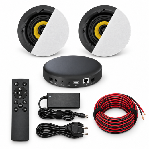 MARD-Audio DAN-AMP-100 DL Set – WLAN-Verstärker mit 2 Deckenlautsprechern