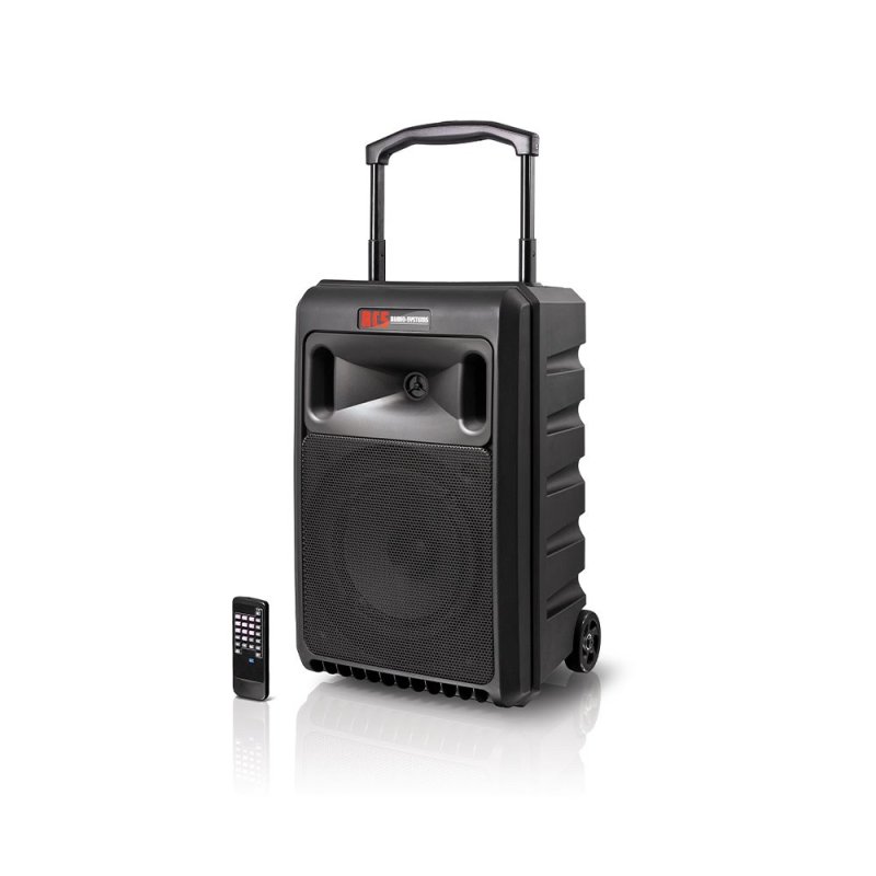 Originalfoto des aktiven RCS DSC-101 Digital Sound-Centers.